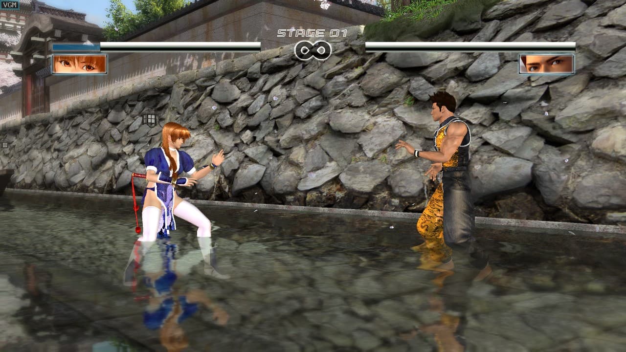 DEAD OR ALIVE 4