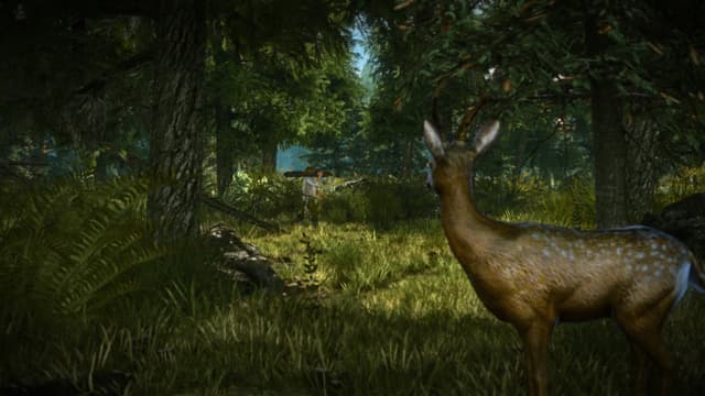 game_screenshot_153357